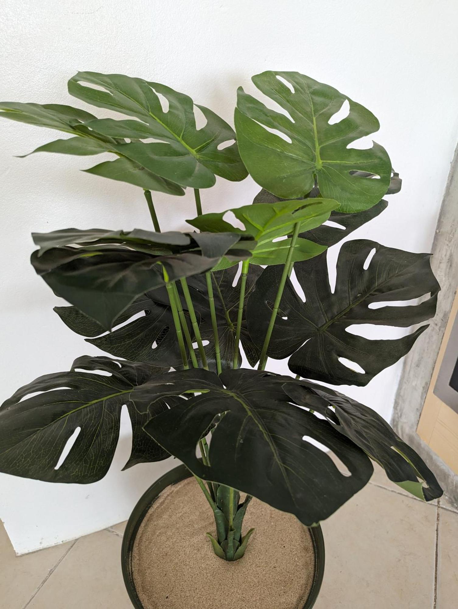 살 레이 Tropical Leaves Sea View Penthouse Ca Greta 2 Floor 아파트 외부 사진